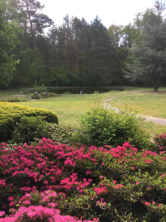 Haus Am Parc Otel Meppen Dış mekan fotoğraf